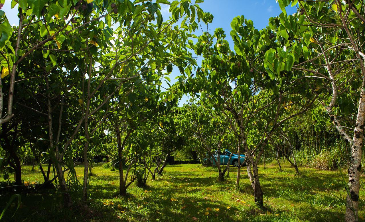 Kirpal Meditation And Ecological Center Pahoa Kültér fotó