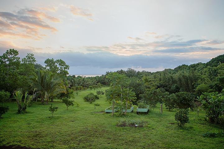 Kirpal Meditation And Ecological Center Pahoa Kültér fotó